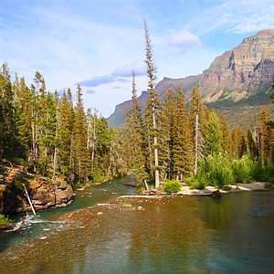 圣玛丽溪冰川蓝色湍流溪流场景公园地形林地荒野环境生态图片