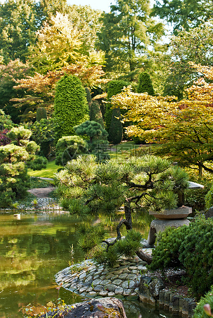 日本花园艺术绿色公园环境花园太阳晴天文化树木植物图片