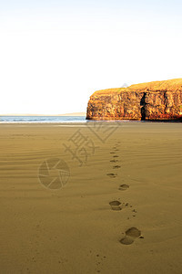 美丽的冬季日空海滩上沙滩上的脚印图片