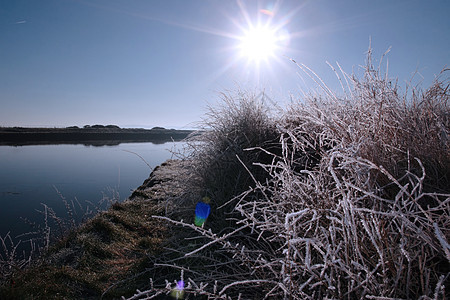 雪中冰霜的枝子 在蓝色黎明与河流之间图片