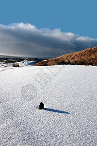 雪上高尔夫球场的绿色高尔夫球场图片