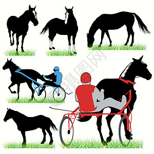 马和骑马的轮回集运动黑色跑步骑术跳跃牧场骑师身体故事马术图片