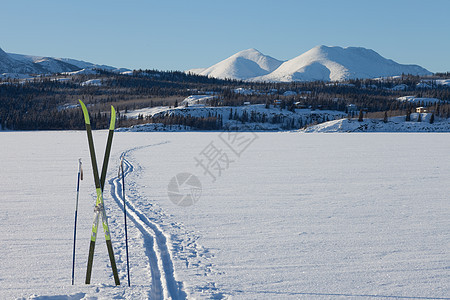 X国家冬季滑雪运动概念锻炼滑雪板踪迹状况娱乐冒险季节精力冻结寒意图片