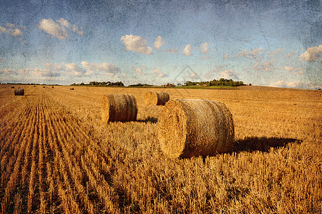干草的巴勒斯草地收成国家土地农村粮食谷物栽培圆圈农田图片