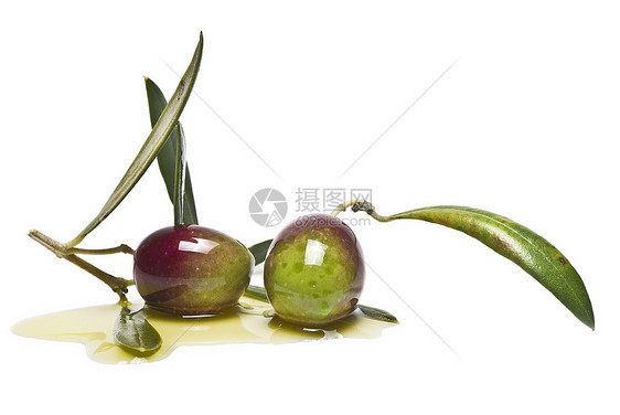 橄榄生产油图片