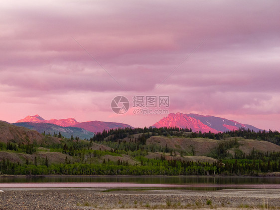 远处的育空山脉在日落光下发亮蓝色森林日光顶峰辉光日落寂寞旅行假期紫色图片