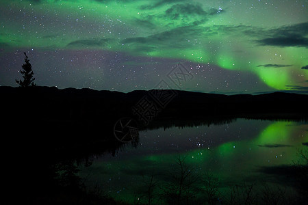 夜天星云 北极光照耀反射镜子天空夜星磁层地区粒子场地北极星白马图片
