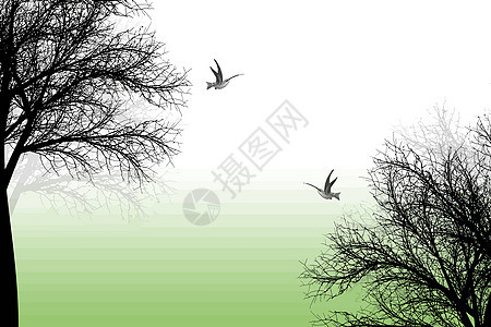 树木和鸟类树干白色风格黑色生长绿色插图季节叶子漩涡图片