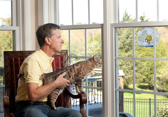 猫在种子器上看鸟鸟器种子羽毛黑色粮食男人山雀黄色白色坚果图片