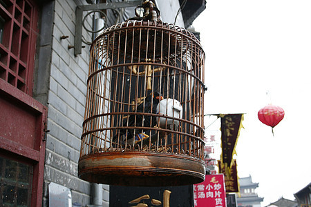 在洛阳老城的商店里旅行旅游建筑鸣禽房子历史雕塑传统城市鸟笼图片