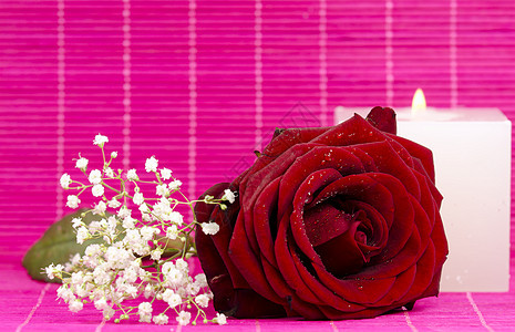 红玫瑰花瓣粉色浪漫红色恋情蜡烛图片