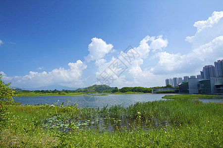 香港湿地公园天空场景地平线旅行池塘荒野蓝色树木草地沼泽背景图片