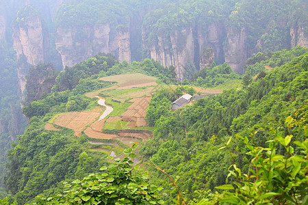 中国张贾吉的景观图片