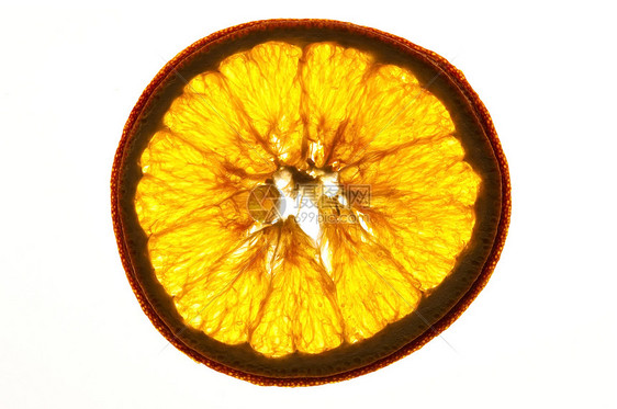 白底白色隔离的干橙色切片水平水果戒指香料食物风格装饰橙子图片