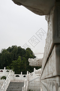 龙头在十号市中心的野鹅塔雕塑石头雕像衬套建筑风格文化旅行工作建筑学公园图片