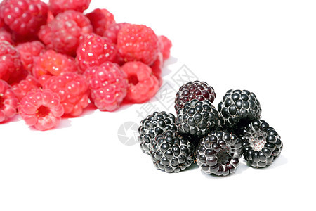 黑和红草莓花园饮食食物农业园丁小吃园艺浆果团体食欲图片