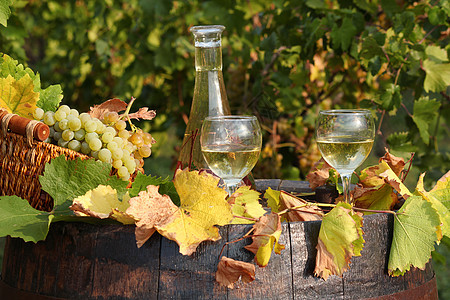 白酒和葡萄玻璃静物饮料葡萄园白色绿色叶子水果篮子酒杯图片