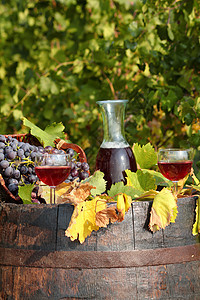 葡萄园红葡萄酒图片
