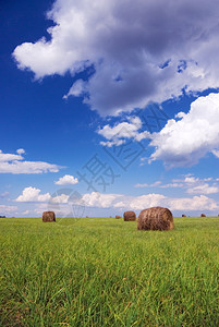 草篮风景农田食物草原草地农村天空小麦国家收获图片