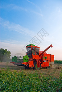 红色组合力量粮食草原收割机收成饲料活力小麦季节天空图片