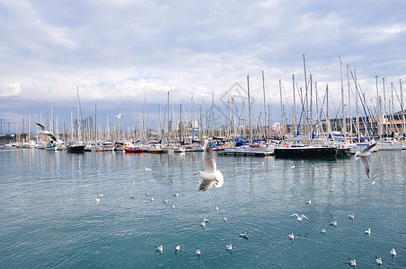 巴塞罗那港建筑天空风景游客旅行海鸥旅游建筑学观光港口图片