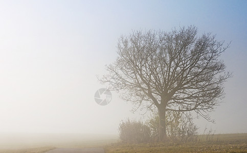 秋天降雾薄雾阴霾湿度季节性图片