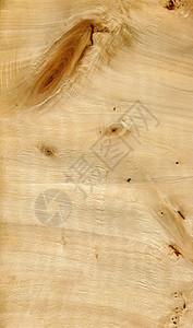 木质纹理木纹木材木头地面桌子图片