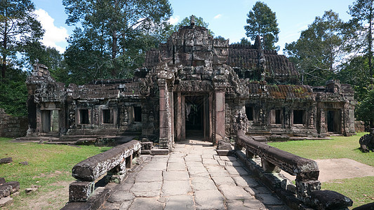 柬埔寨的Ta Prohm寺庙图片