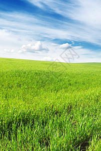 弹出字段蓝色场地植被天空草原牧场场景土地墙纸农村图片