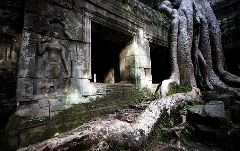 Ta Prohm的树苔藓高棉建筑寺庙废墟岩石高棉语图片