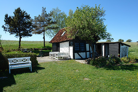 传统古典风格的丹麦小乡间别墅图片