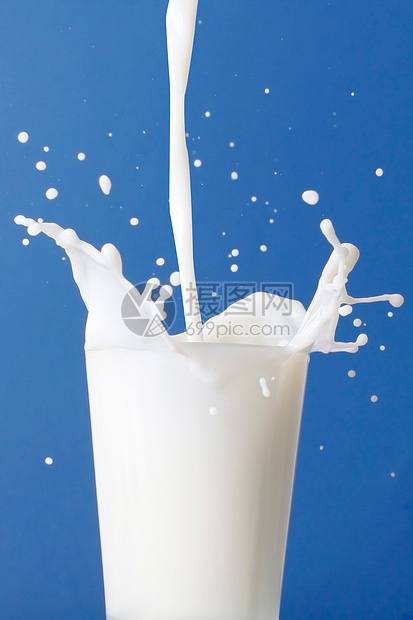 牛奶奶摄影工作室飞溅冷藏午餐图片