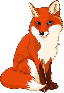 可爱狐狸森林吉祥物野生动物眼睛卡通片尾巴红色毛皮橙子荒野图片