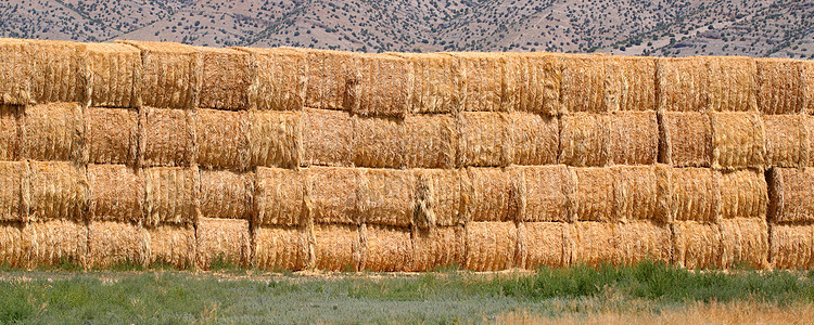 Hay Bale 背景图片