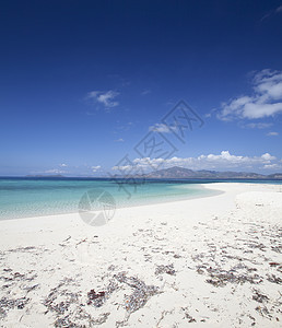 热带岛屿海洋蓝色海滩图片