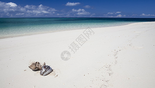 热带岛屿海滩蓝色海洋图片