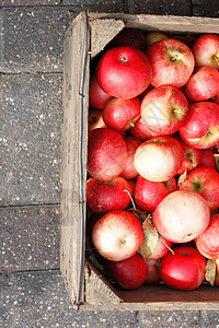 苹果饮食摄影生产水果盒子红色市场图片