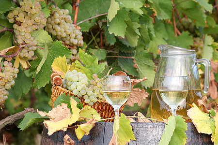 白葡萄和红酒白酒绿色饮料酒厂白色瓶子酒杯静物黄色玻璃图片