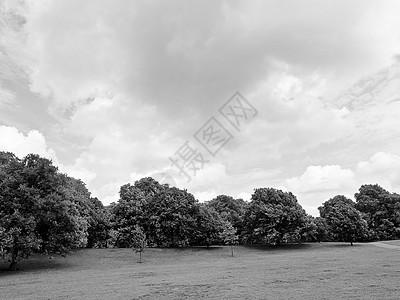 伦敦肯辛顿花园绿色树木隐藏公园植被英语花园草地王国图片