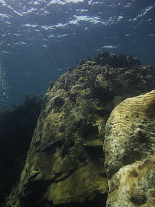 海洋岩石珊瑚潜水蓝色生活运动旅游潜水员裂缝爬坡旅行图片