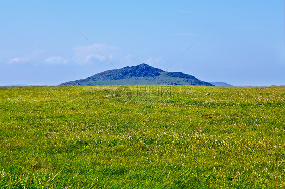 山顶的山顶 在草原背景图片