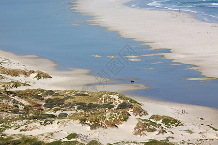 长滩骑士冲浪假期全景海岸海浪风景灯塔沙丘海洋图片