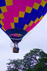 天空中的热气球 树底图片