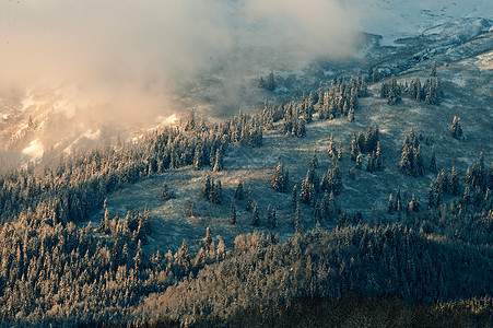 Chilkat山谷被雪覆盖野生动物冻结风景假期荒野气候季节蓝色滑雪旅行图片