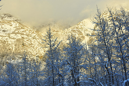 Chilkat山谷被雪覆盖顶峰旅行环境荒野气候野生动物天空阳光公园季节图片