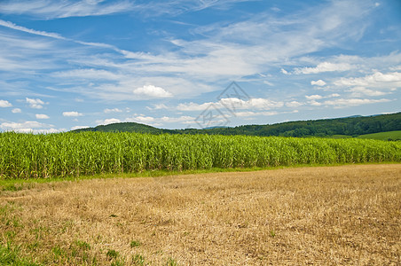 开草草技术萃取柴油机农业能源场地资源生物环境活力图片