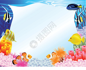 海洋生命背景荒野珊瑚射线动物群水族馆插图场景生活卡通片蓝色图片