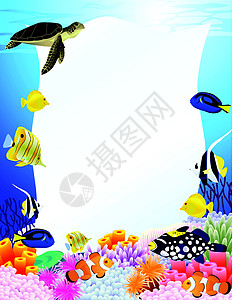 海洋生命背景海藻植物群水族馆插图生活海洋潜水卡通片爬虫荒野图片