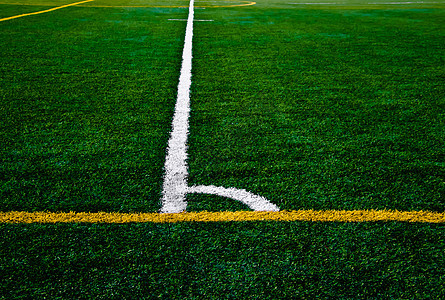 天体图条线哺乳动物体育场院子足球毛皮草皮运动员玩家入口人工图片