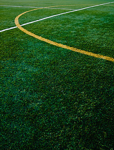 天体图条线宠物草皮游戏毛皮足球联盟院子人工竞技场哺乳动物图片